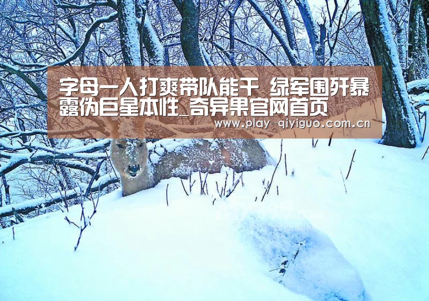 奇异果官网首页